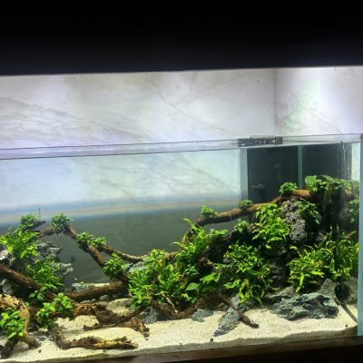 Bể Công Nghệ Mới - Mẫu 2