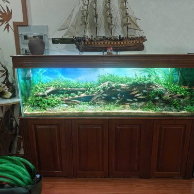 Bể Công Nghệ Mới - Mẫu 4