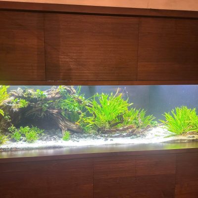 Bể Công Nghệ Mới - Mẫu 7