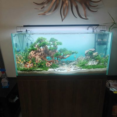 Bể Công Nghệ Mới - Mẫu 9