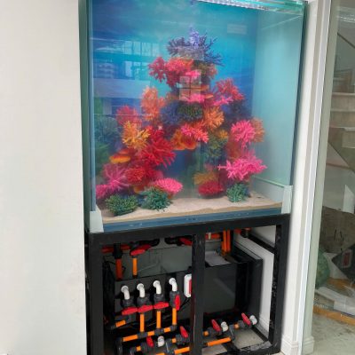 Bể Công Nghệ Mới - Mẫu 6