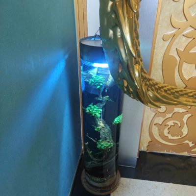 Bể Cá Công Nghệ - Mẫu 8