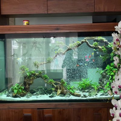 Bể Công Nghệ Mới - Mẫu 10