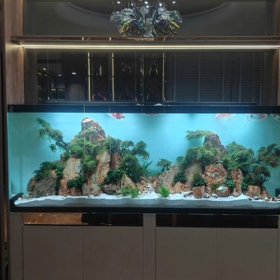 LAYOUT THỦY SINH - 02