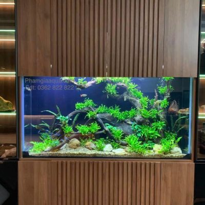 LAYOUT THỦY SINH - 04