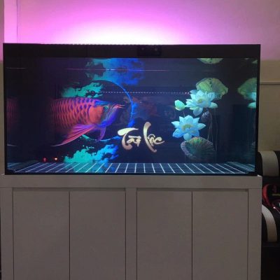 Bể Công Nghệ Mới - Mẫu 11