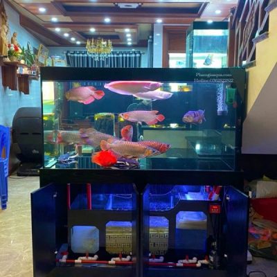 Bể Công Nghệ Mới - Mẫu 13