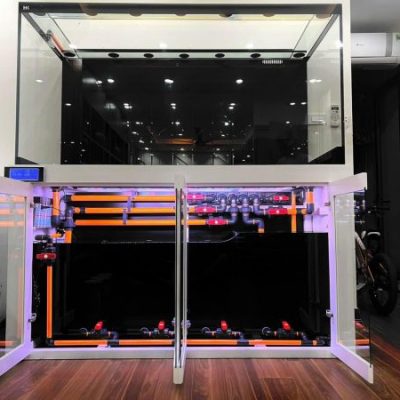 Bể Công Nghệ Mới - Mẫu 17