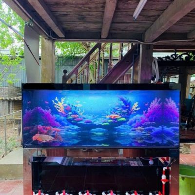 Bể Công Nghệ Mới - Mẫu 15