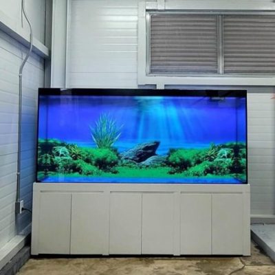 Bể Công Nghệ Mới - Mẫu 16