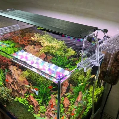 Mẫu Đèn Cho Cây Thủy Sinh Đẹp